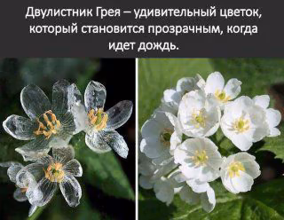 c0f47ec66acd65b3e4a3b042b0b5850b.jpg