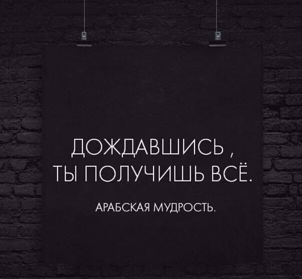 c1046045da3f6c0dececa21342daf774.jpg