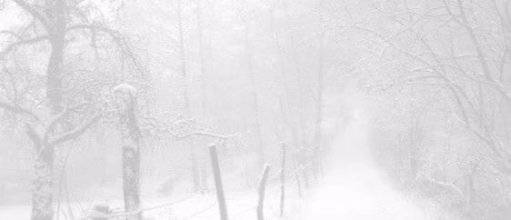 c1118d1dff4767d187ab103f58e7a4a6.jpg