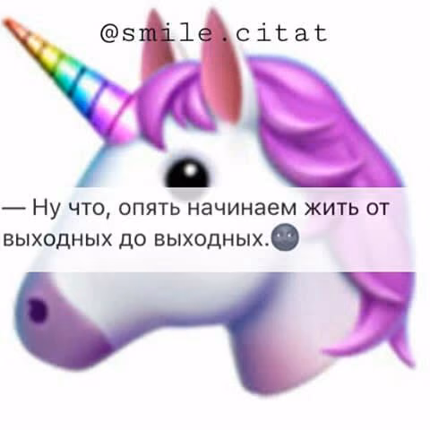 c112ffbb9c216e1dd470344b4862c559.jpg