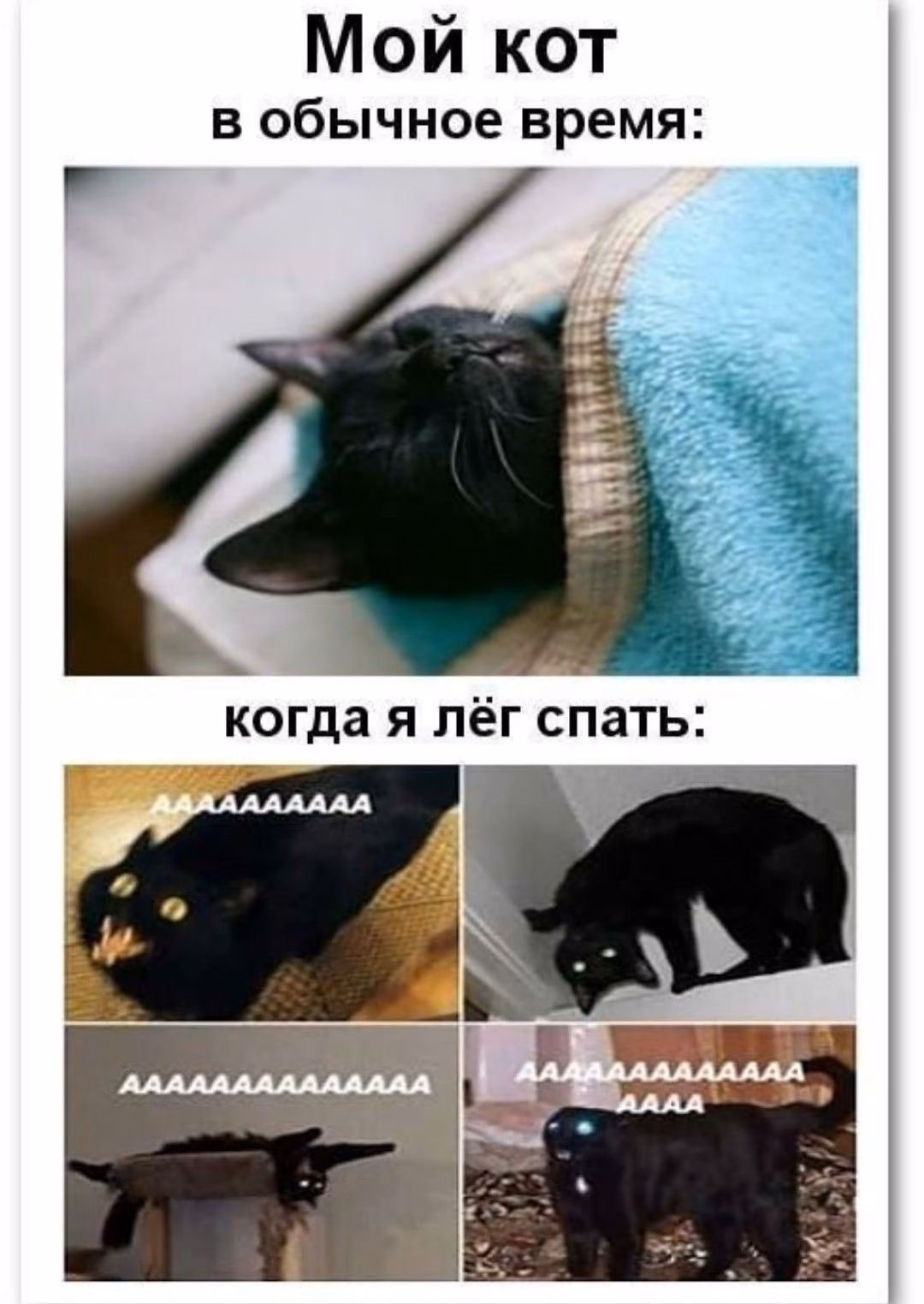 c120a6253f9803093ac5b89203967e67.avif