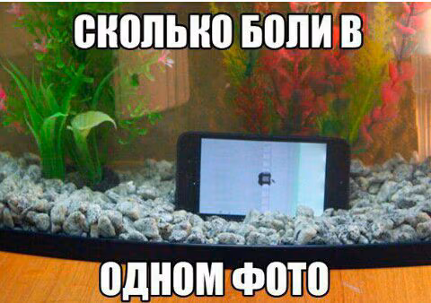 c12926d153d6ddc2257b08c3a6c8b032.jpg