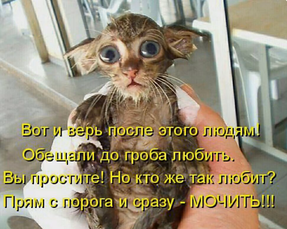 c12b7d19f8da59bcc430c0f84e5125e2.jpg