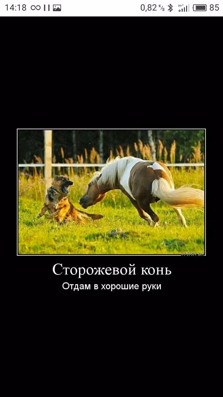 c12fda500edf9ced1b82b6eac194e8e8.avif