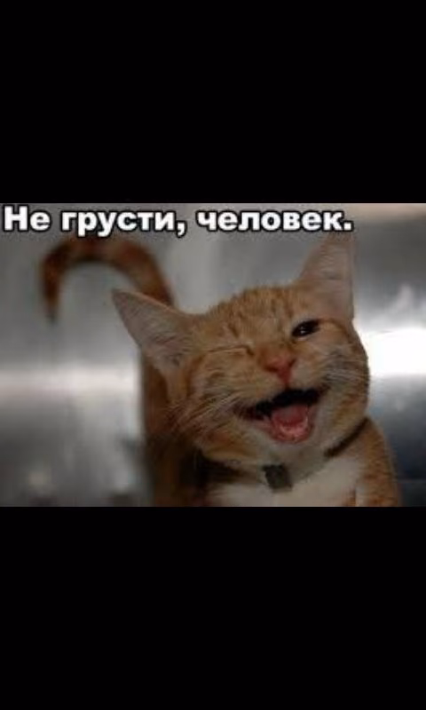 c13452cc1e62981e7f2f81a3f4e7b828.avif