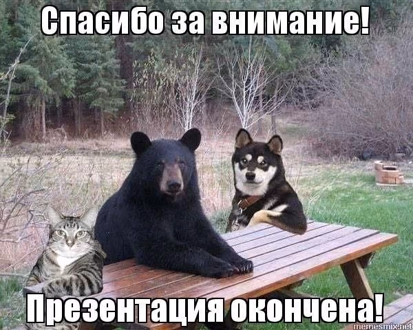 c13a110ec616447fddab7c6e35e3715f.avif