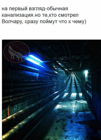 c1448aab831df8d263869ede3072a49f.jpg