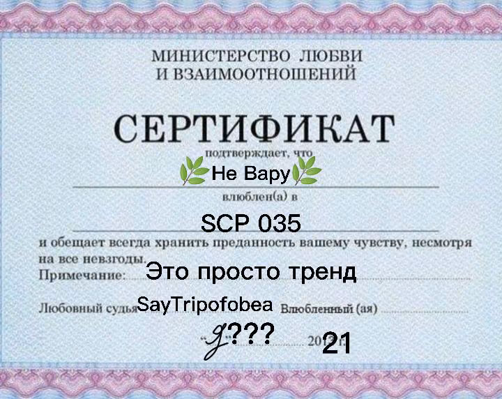 c151da3ce9aa03b1c29da659ddfbb2fc.avif