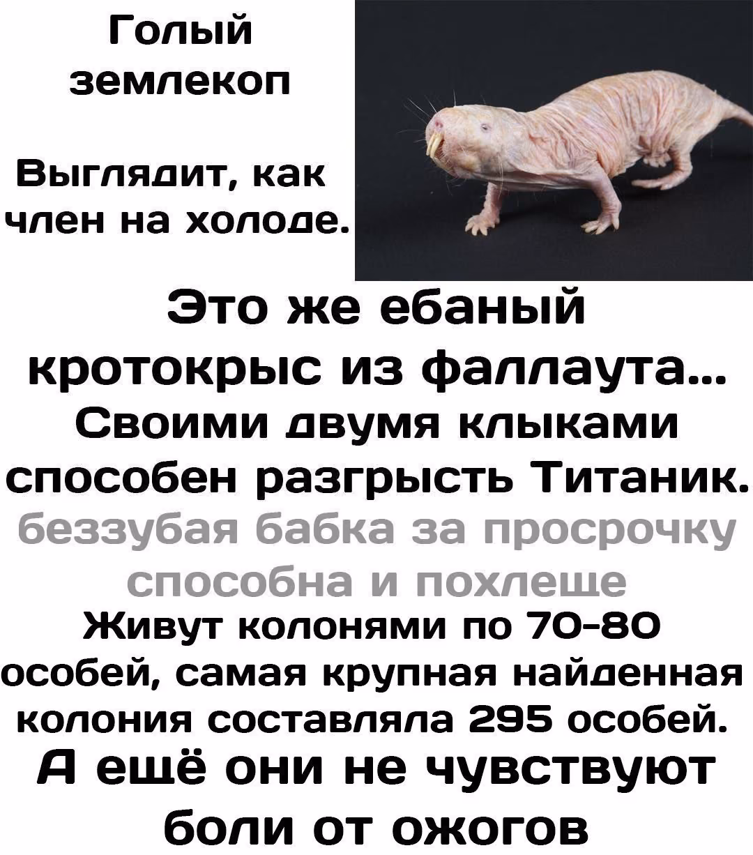 c155d559aea0e5aa0d6400b40ae0b88c.jpg