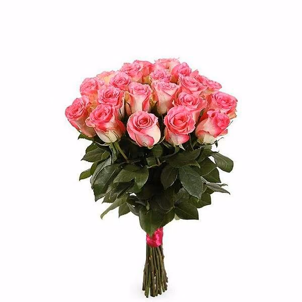 c15d12aad4a6afbddda49d29b359c01a.jpg