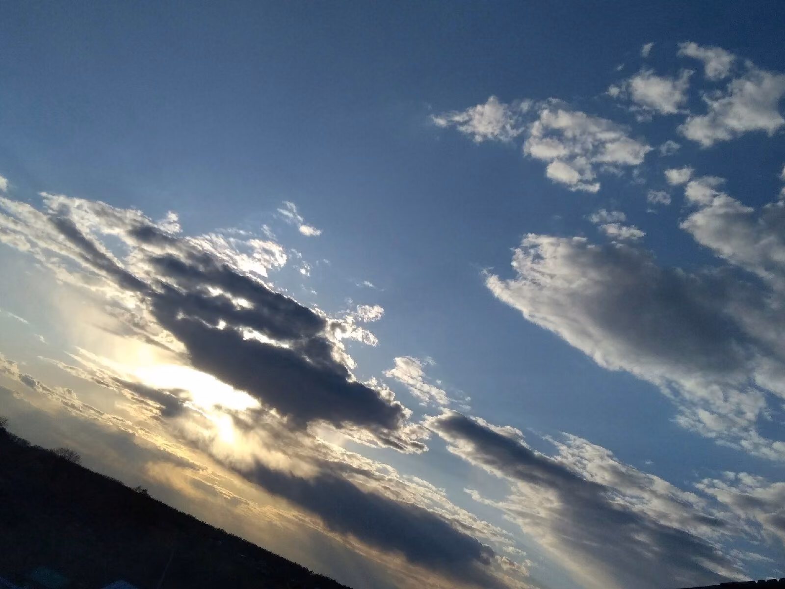 c1607375cf12aaf6881009cee696dd3d.jpg