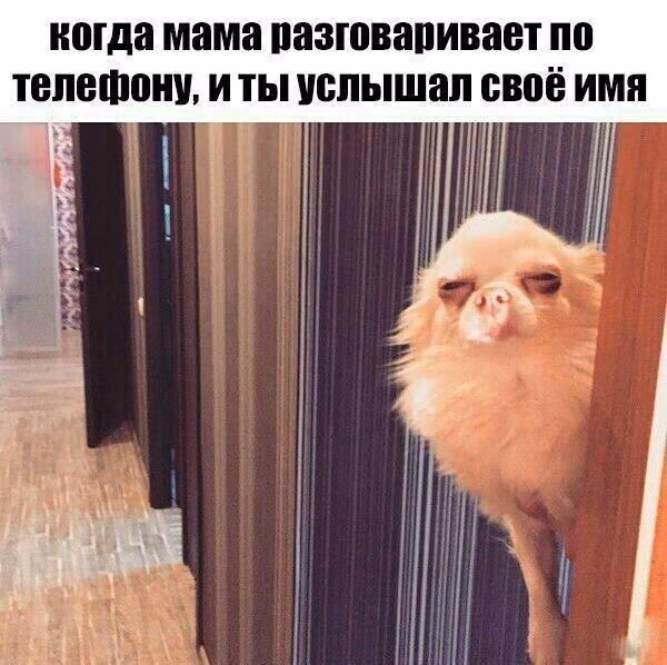 c1738643c9779b6e9fad3d7e0b2ffdea.jpg