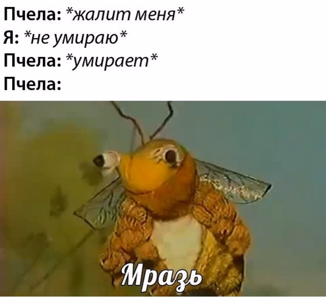 c1859a2577fd2de9e9f625ed0b98cdb4.avif
