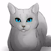c186930b965056987f1d4bf31fbf8bbb.jpg