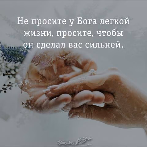 c1891f19bfbf9fddc9c0a471b508690d.jpg