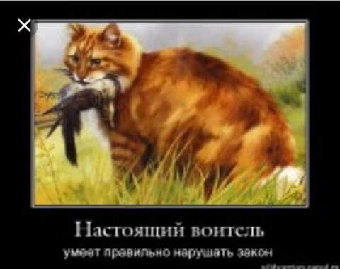 c1895e44680e47a53bc78f4ad71d62fa.avif