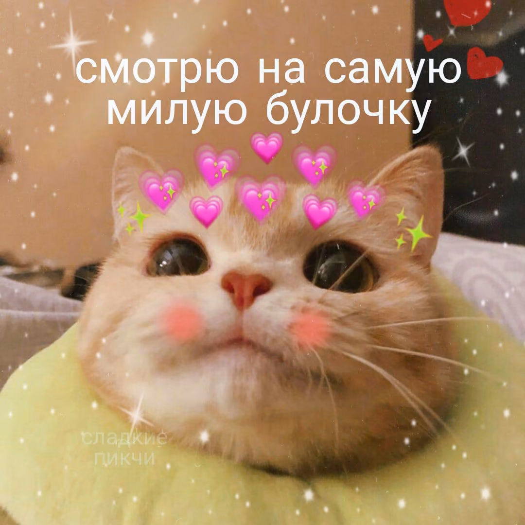 c1abfc40b8b7399d20c16aa653c6ce38.avif