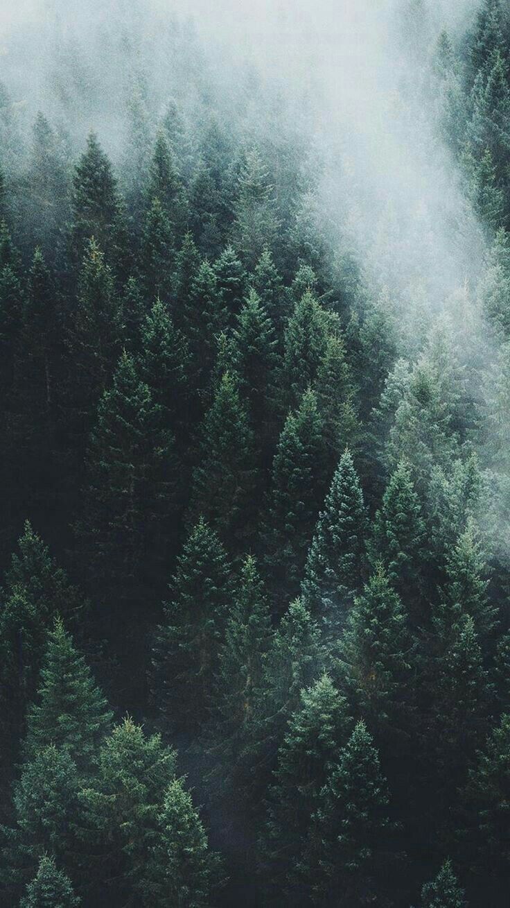 c1bba15e036c17eabf17b150e8994f85.jpg