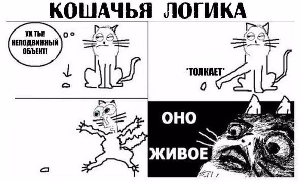 c1d5982421bbc61680127c805530f9d9.jpg