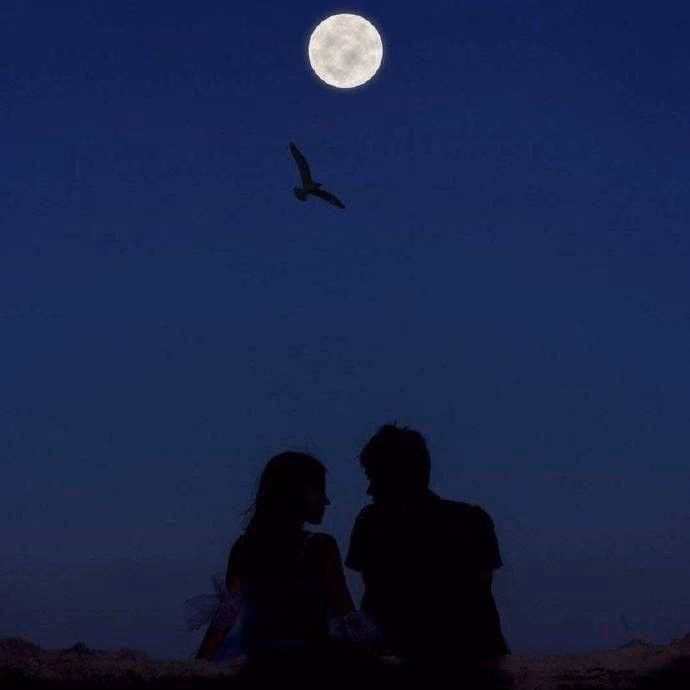 c1d5f70128108f288a89caca856676d9.avif