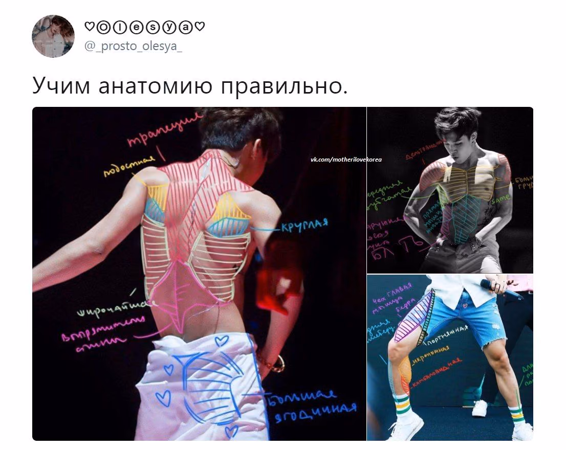 c1e3234027817309cd08f6d174f11be8.avif