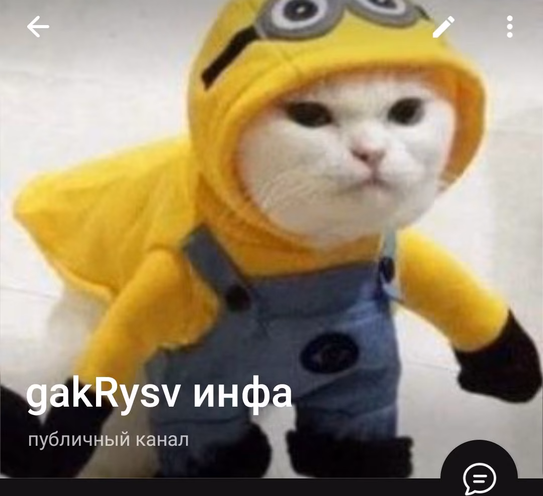 c2018a640b63acebf84d46388a8cb473.avif