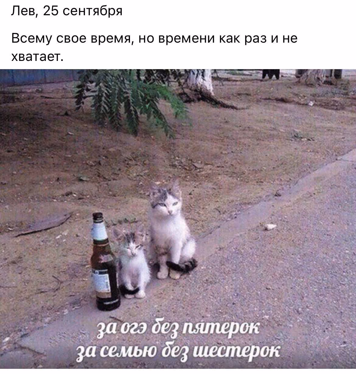 c203089a04f88b758864252ecbeb9055.jpg