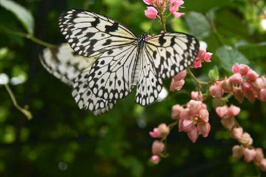 c2117960c59ede7c894db8b4307e23a7.avif