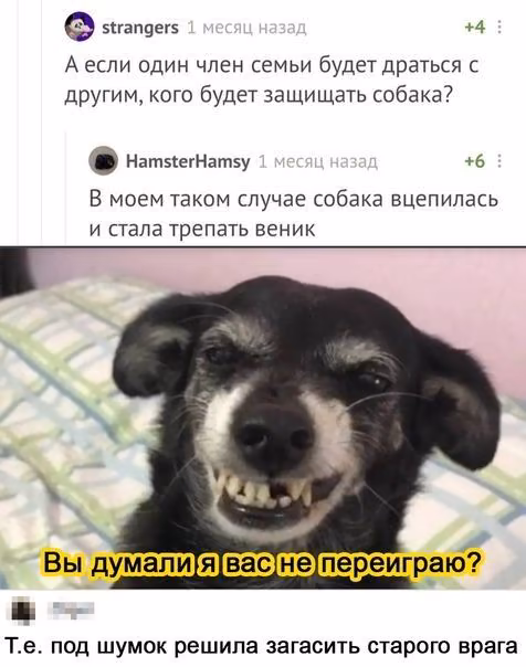 c22096595fc8c0a794ba16de57a3f6f7.avif