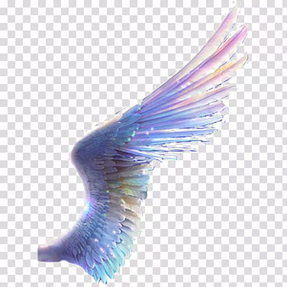 c2384632b3049991be9ff2b5df6d53ae.avif