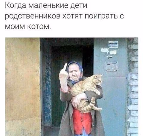 c2426863d79ffdb51ca6bb64fabf5ebb.jpg