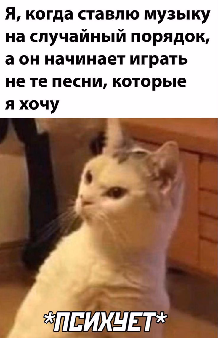 c24c15b99b24ea87230f2f2003d6210c.avif