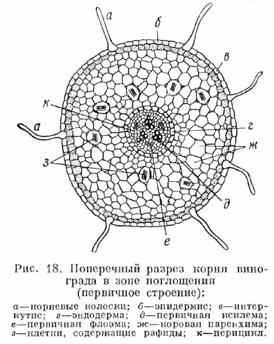 c2522cd8d41ac927065286c3cb1090d3.jpg