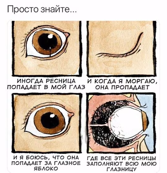 c258dd8a6c4b290fffacf3daeb426282.avif