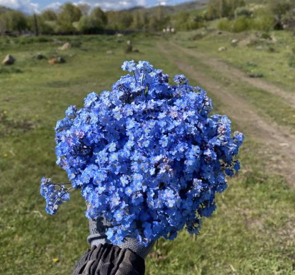 c269b3df7159c9775f5a46bf33100e6d.avif