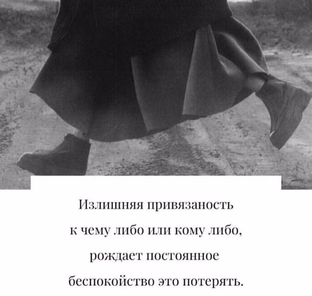c284746a59086342ad4855793bc209fe.avif