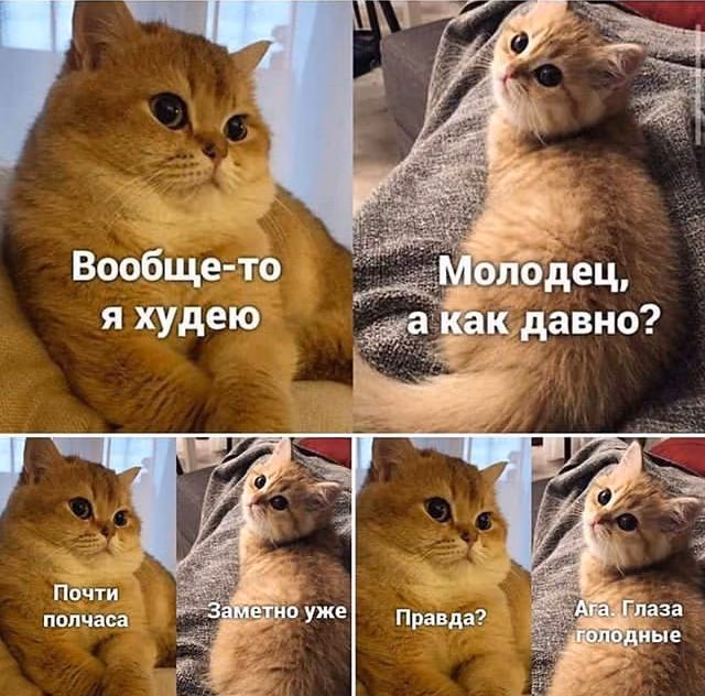 c28a97f2f65704a19302a3e9b4d60e3f.avif