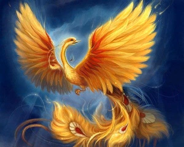 c297649e141631e5c78b2a37f8027c12.avif