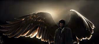c2995c6b1be2ad4a42313257d1592251.avif