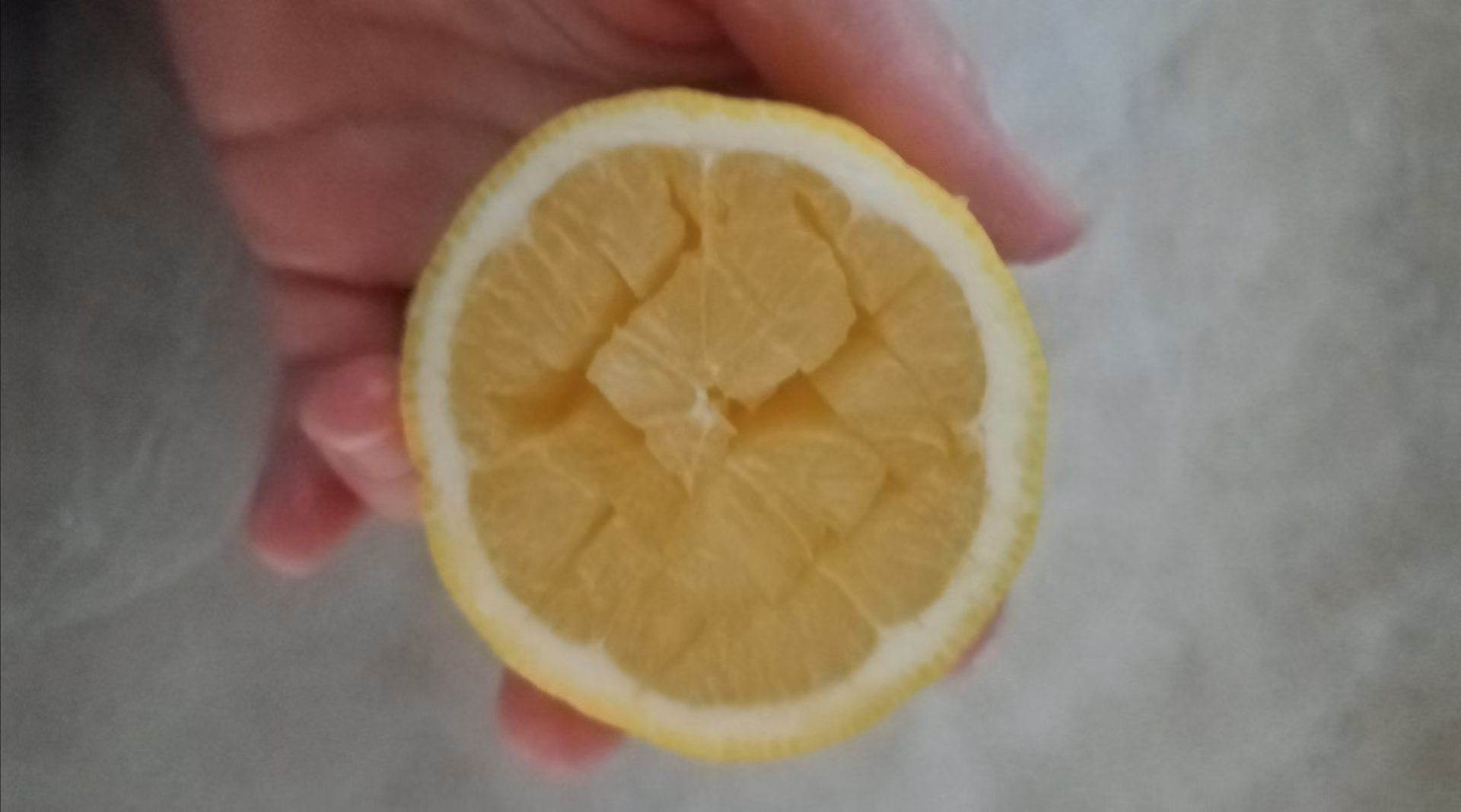 c2a026a58b4c12b2154d78e1d269ee50.jpg