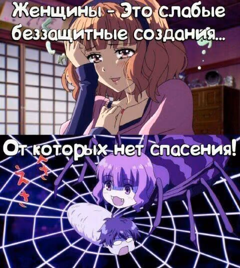 c2a385c5d7d0cb3b850dd7fc905c2812.avif
