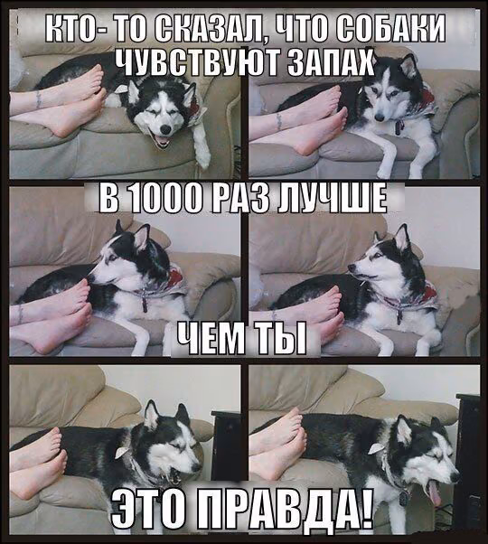 c2aac24c06313b4bf9f475859a7e5c4e.avif