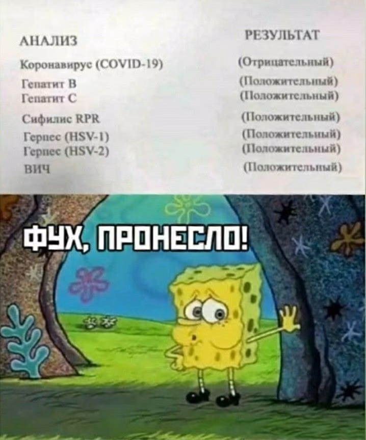 c2afd98c8ed831601146f23b330f11f6.avif