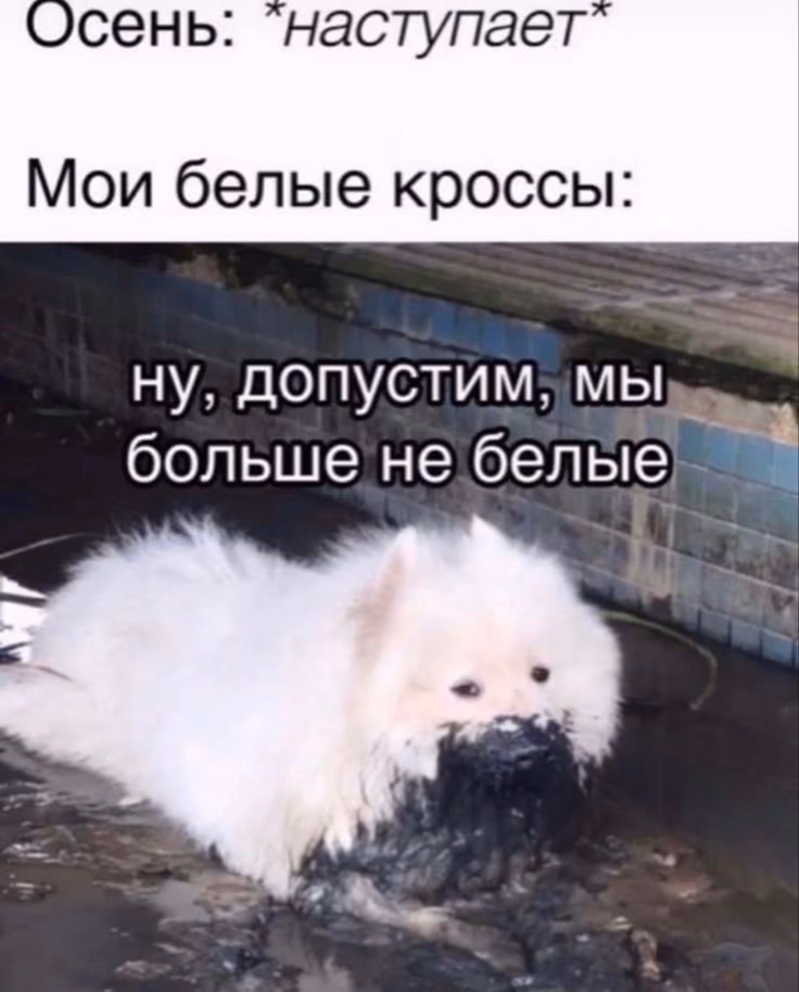 c2ba30e05ddb0351819bb3241333d613.avif