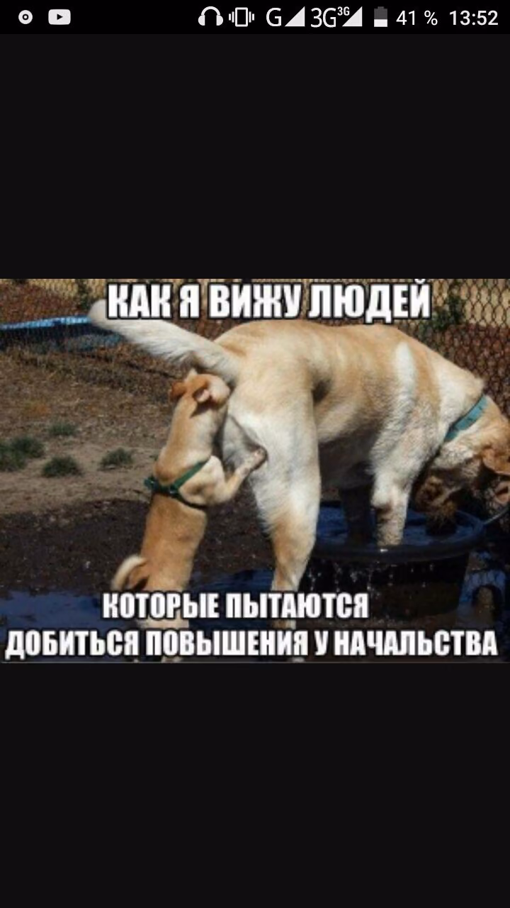 c2bc33cc0458ea0fd4bd199d95d136be.avif