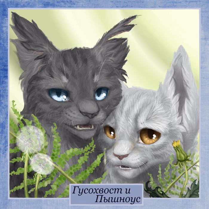 c2bce96b0dd788d84e077784c6788ce4.avif
