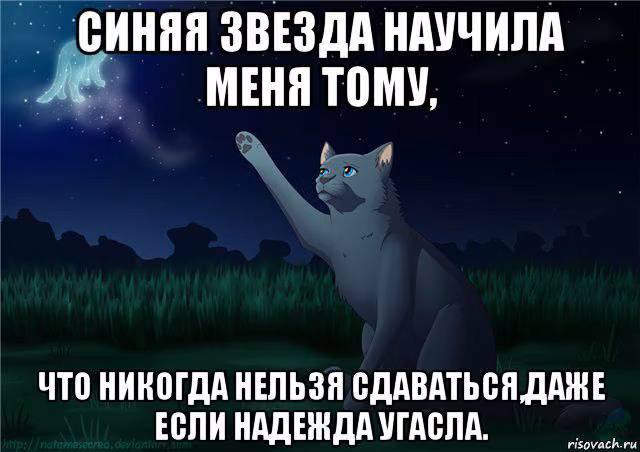 c2deda97cabb6c1c5438f940491a3ce4.avif