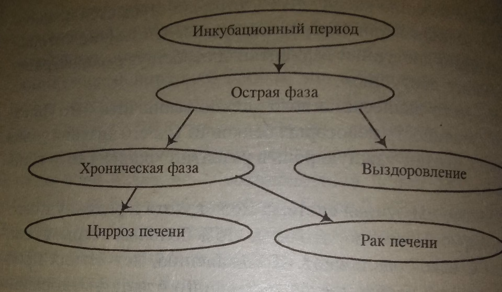 c2ebacd673a18143962679e86e70b683.avif