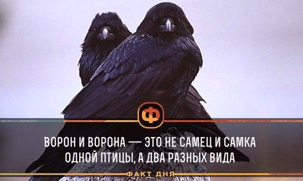 c2ed5ecaeb040fbe30e6766ce976f66e.jpg