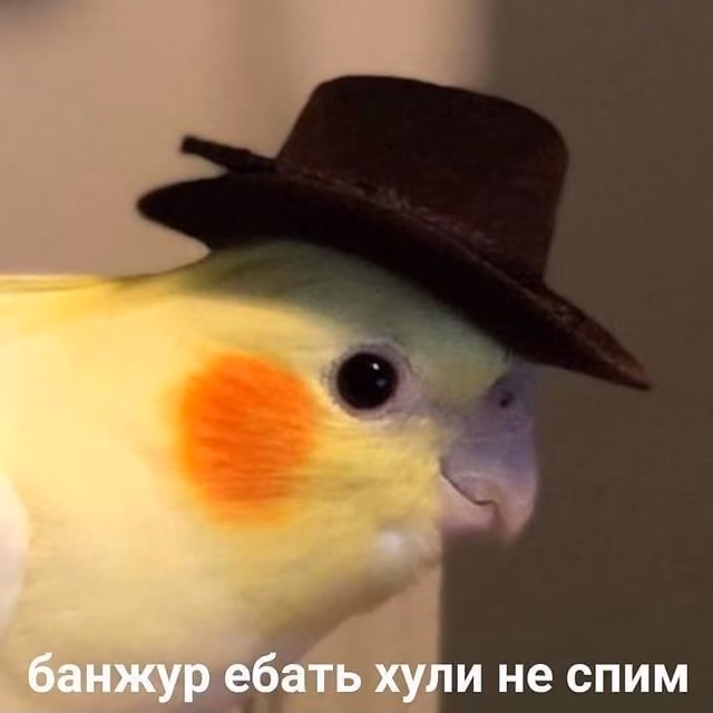 c3060691f3904d34c1816d4daada7db4.jpg